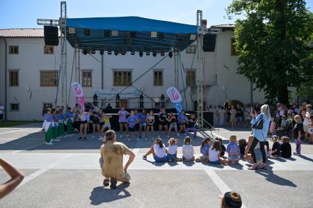 vipavska ned-40